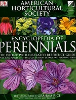 perennials